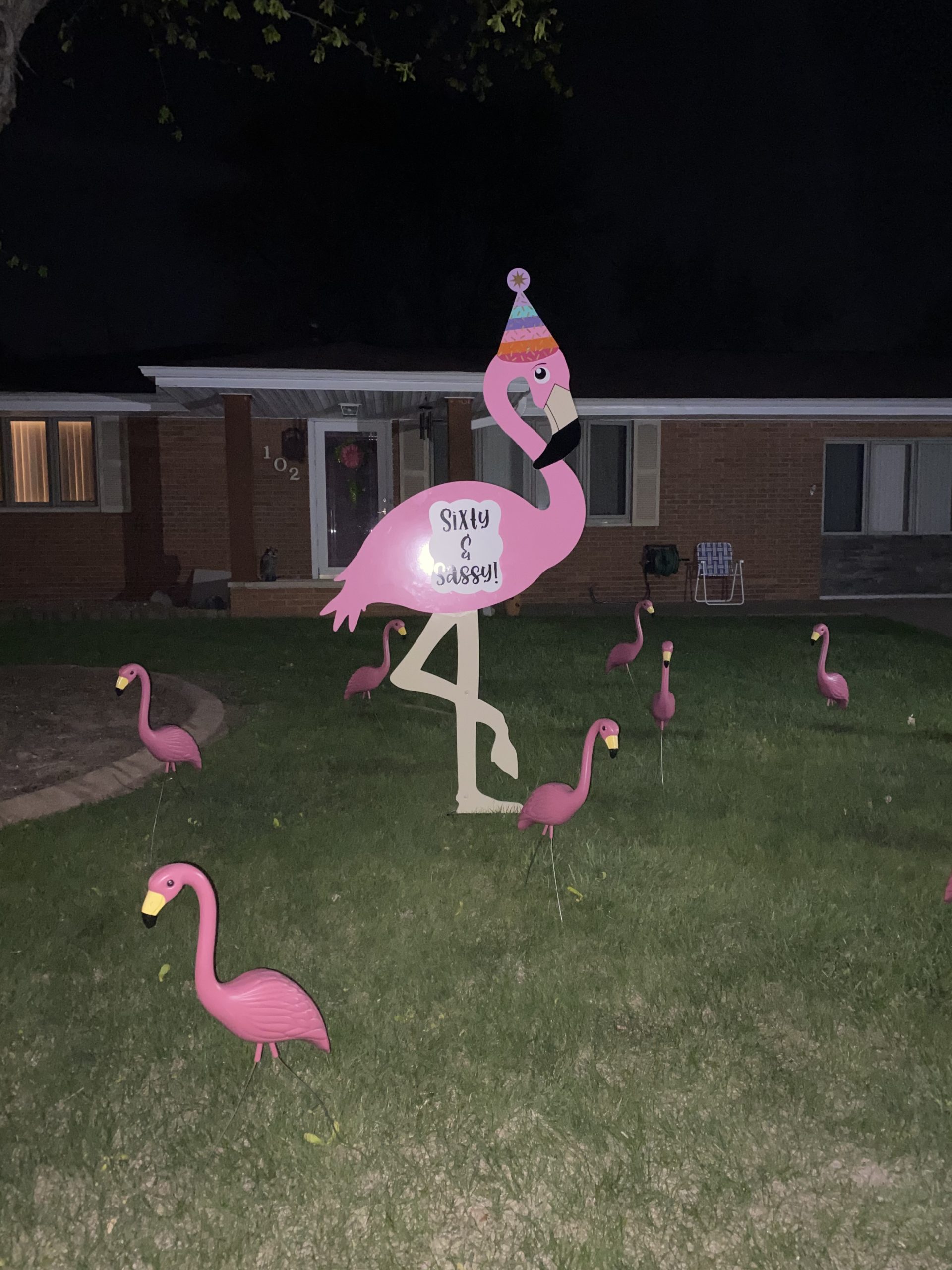 Yard Flamingo Sign for Milestone Birthday + Flocking – Washington, IL