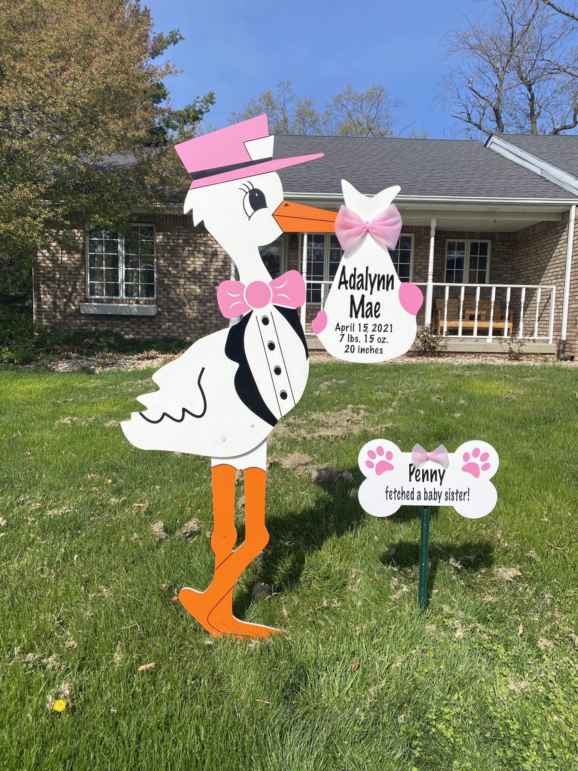 Baby Girl Announcement Yard Sign, Mapleton, IL