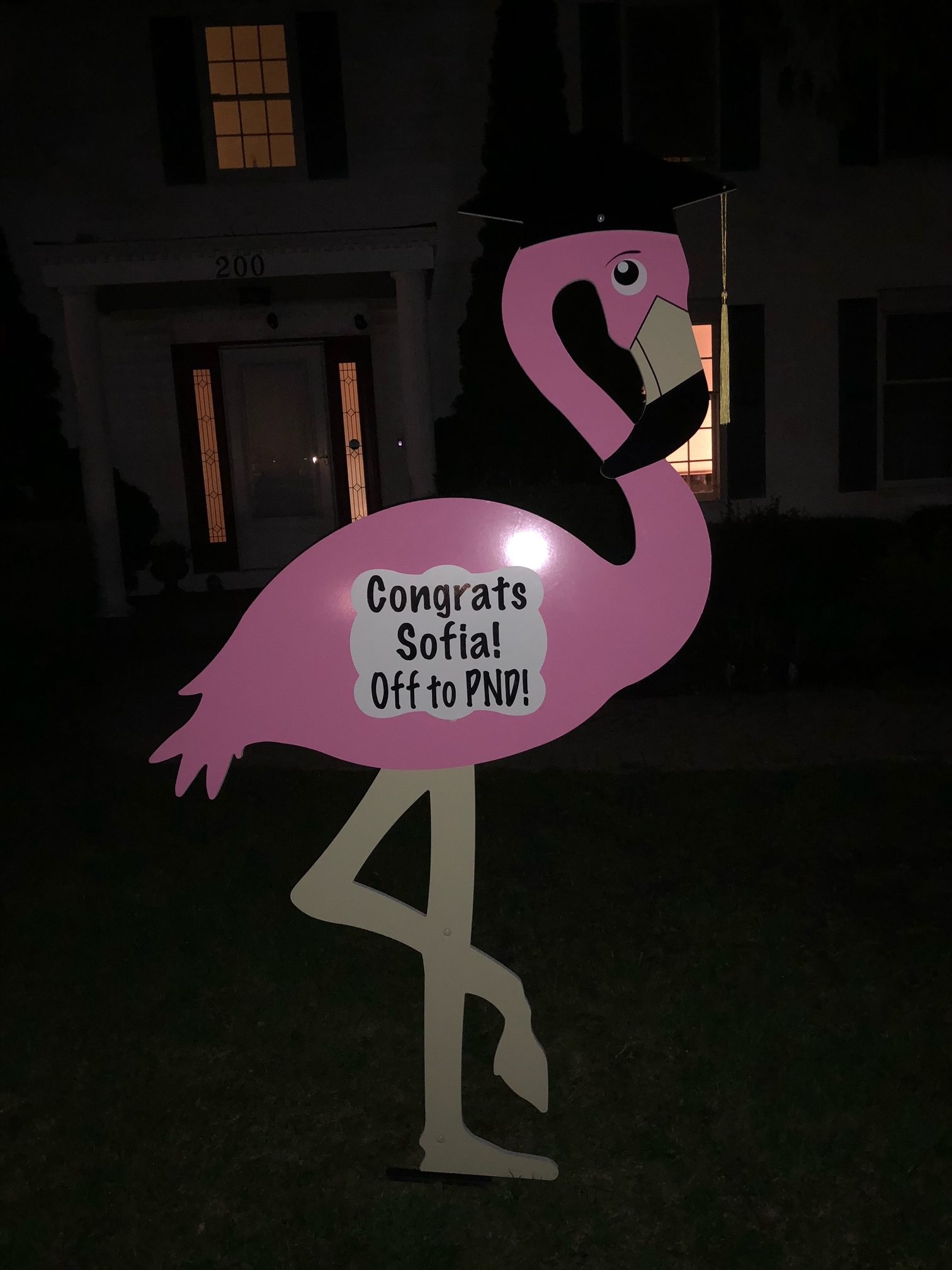 Yard Flamingo for Graduation – Peoria, IL