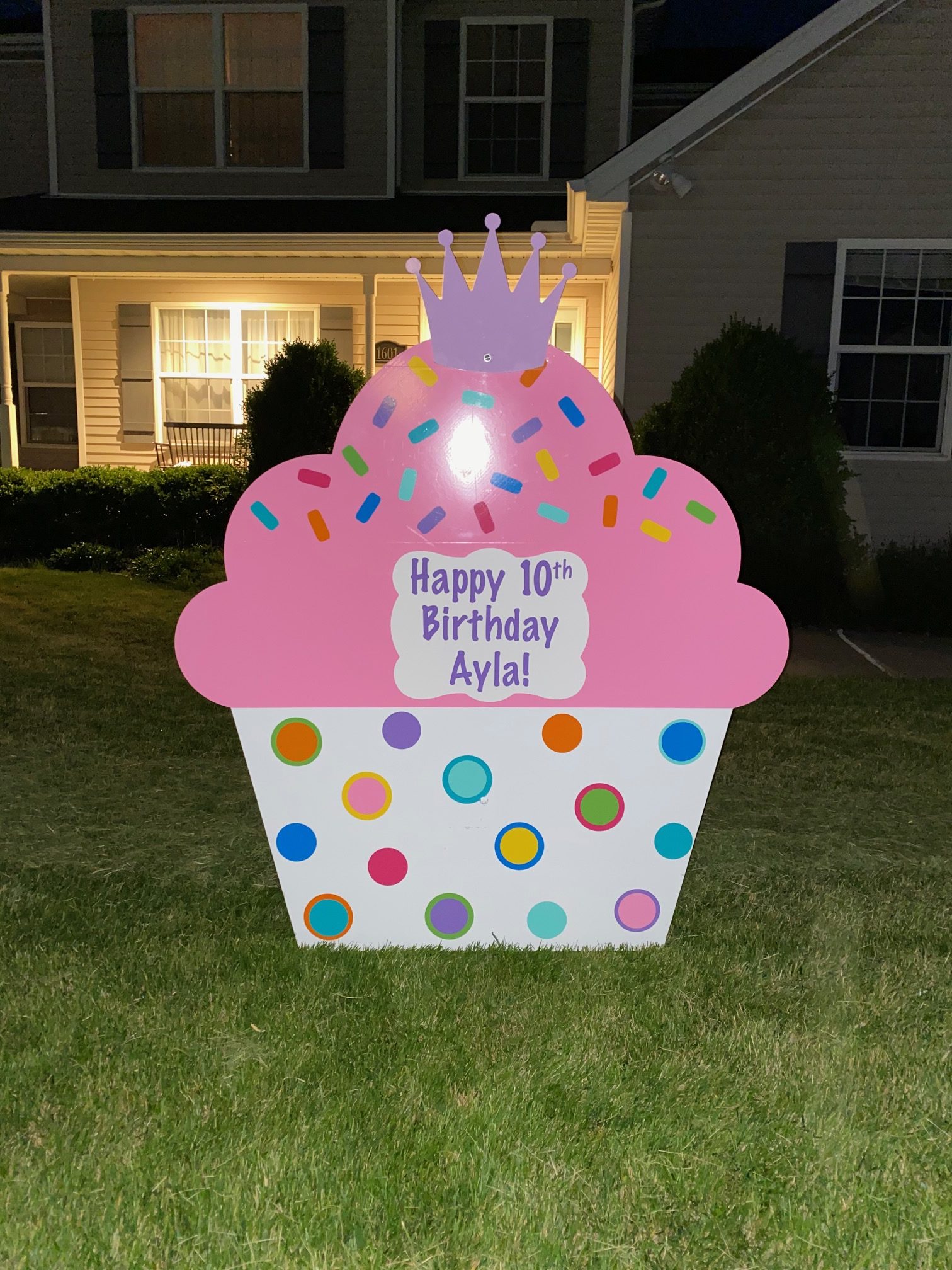 Custom 10th Birthday Yard Decoration – Washington, IL